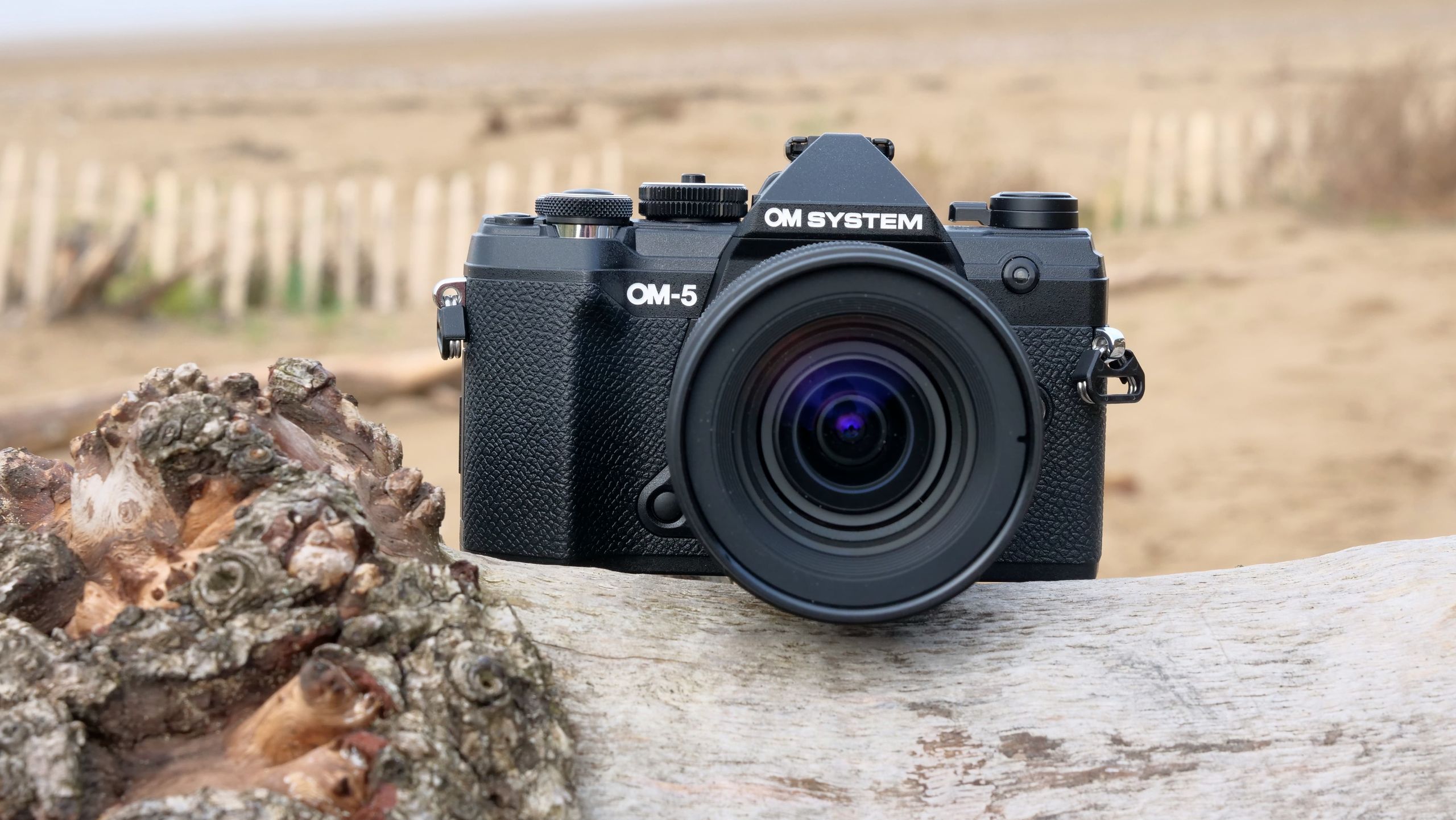 The Future: Hybrid Systems and Specialization - visual representation