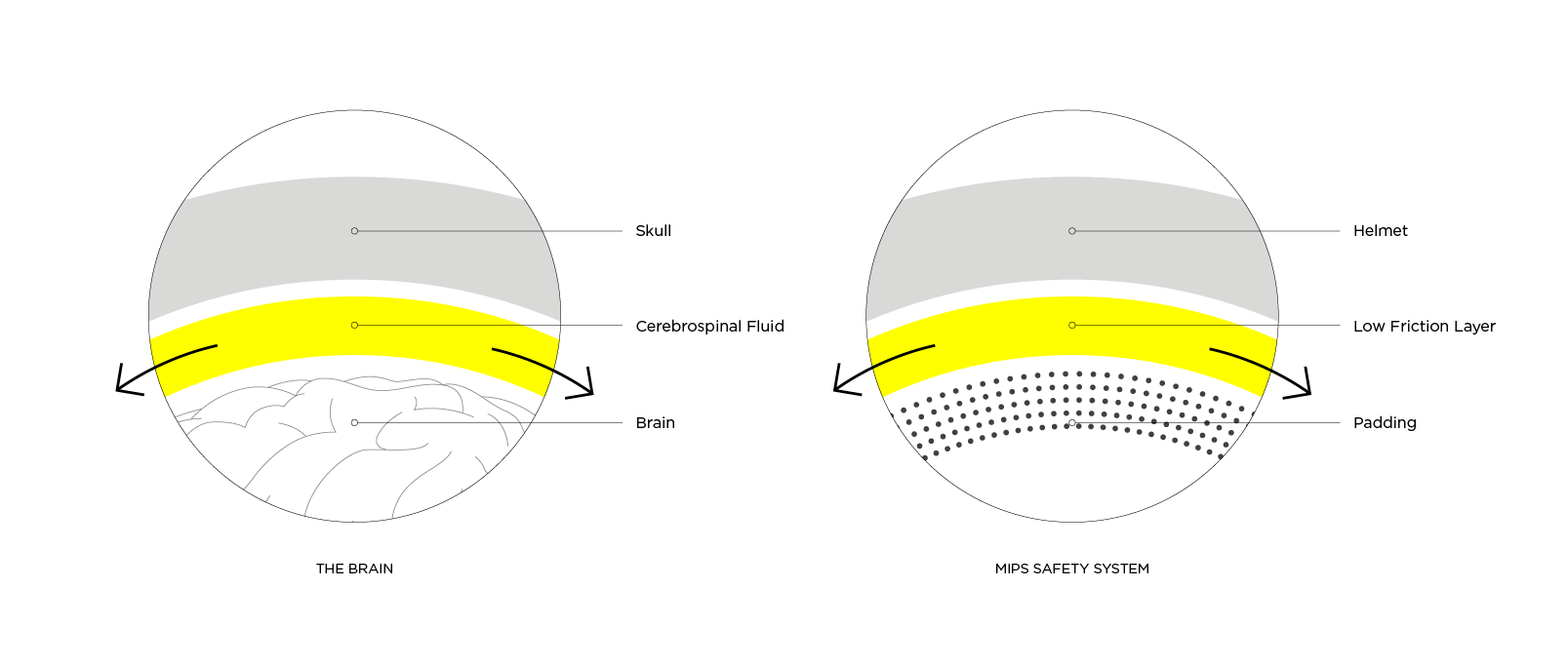 Understanding MIPS Technology - contextual illustration