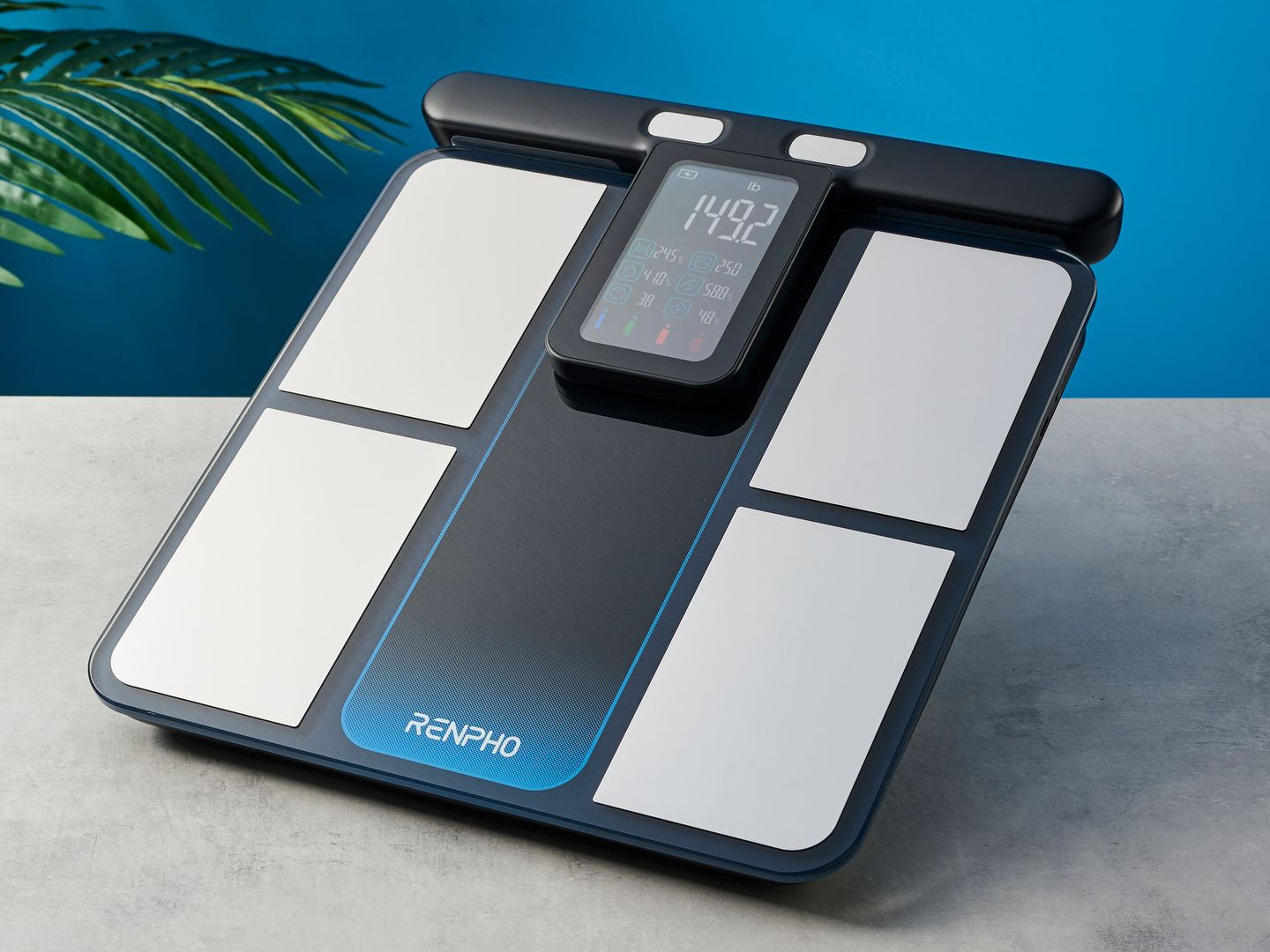 Smart Scale vs. Regular Scale: The Financial Argument - visual representation