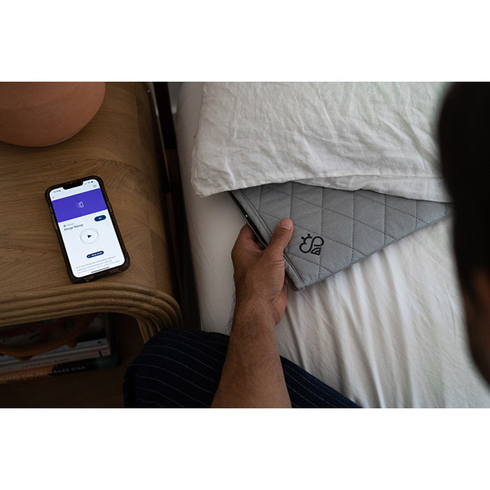 The Noise Factor: How Loud Are These Really? - visual representation