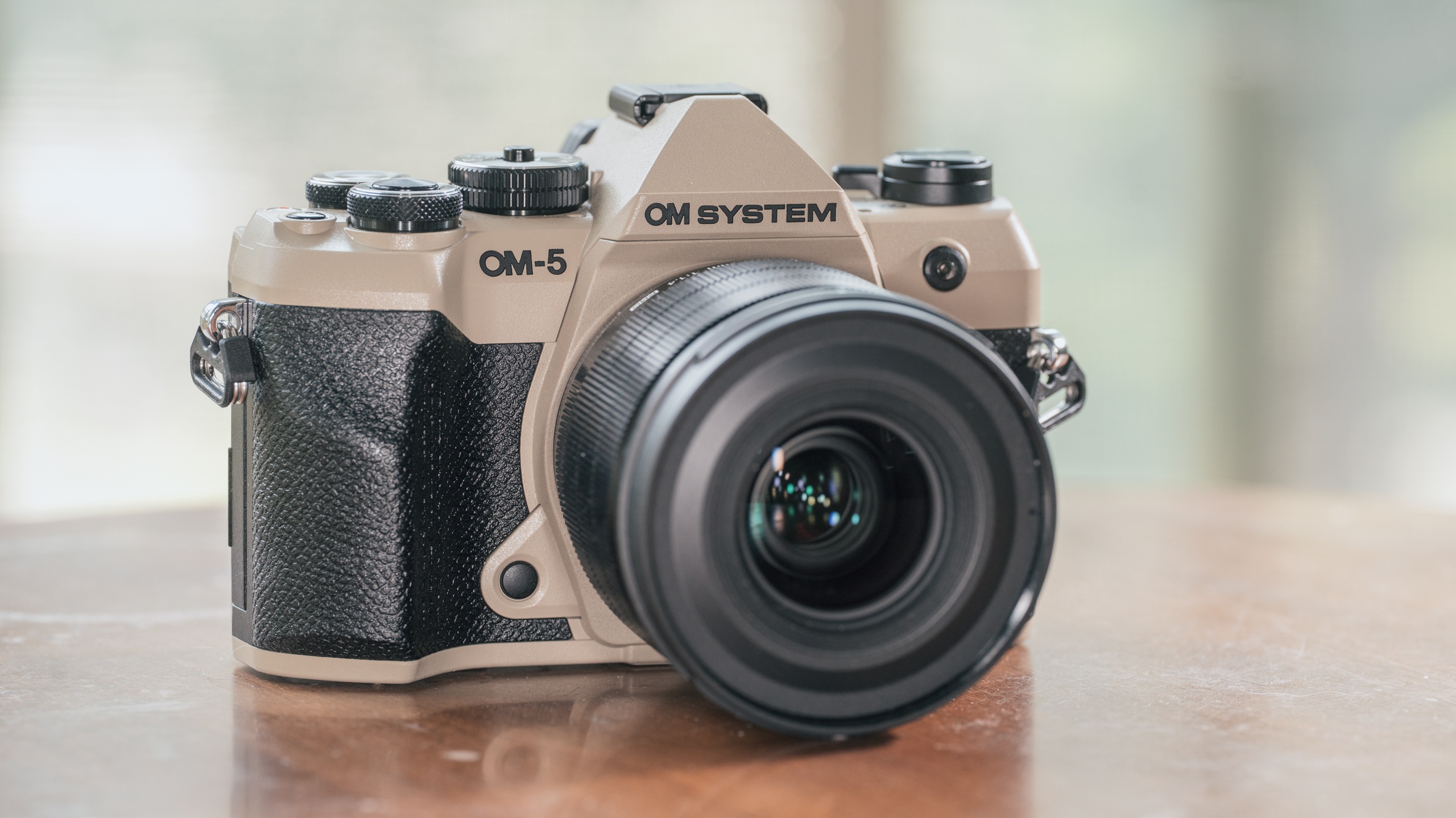 Common Questions About the OM System OM-5 Mark II - visual representation