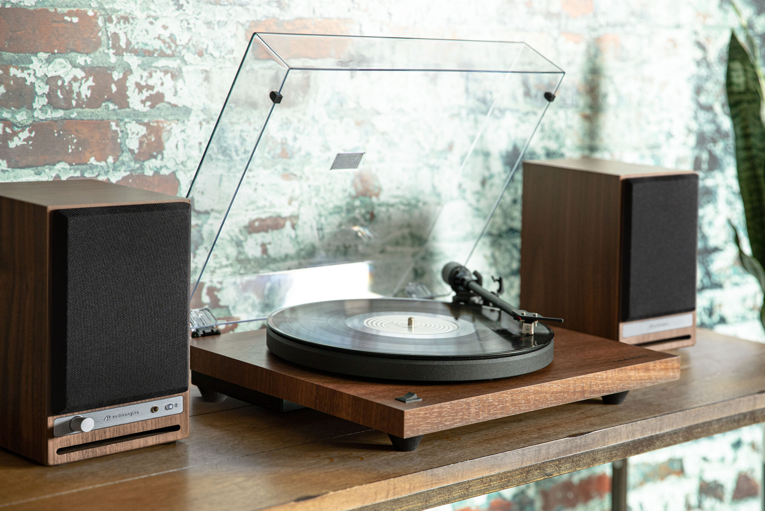 Conclusion: Your Vinyl Journey Starts Here - visual representation