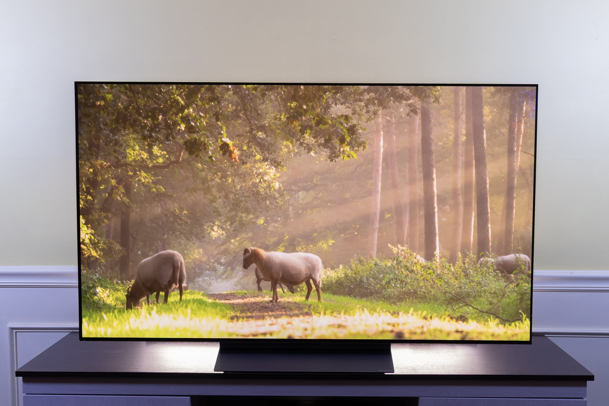 Mini-LED Powerhouse: The Samsung QN85 Series (Massive Size, Massive Brightness) - visual representation