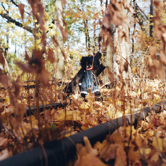 Sonic Specificity: How Sound Becomes Meaning - visual representation