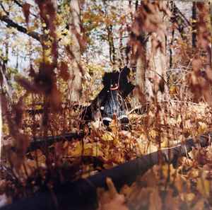 Distribution and Access: The Independent Route - visual representation