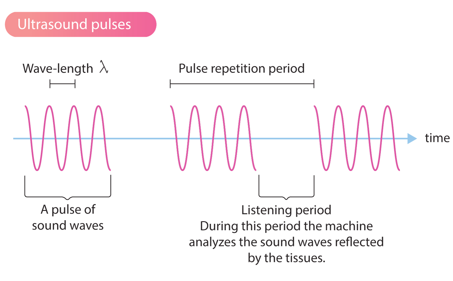 The Problem Biotics AI Actually Solves - contextual illustration