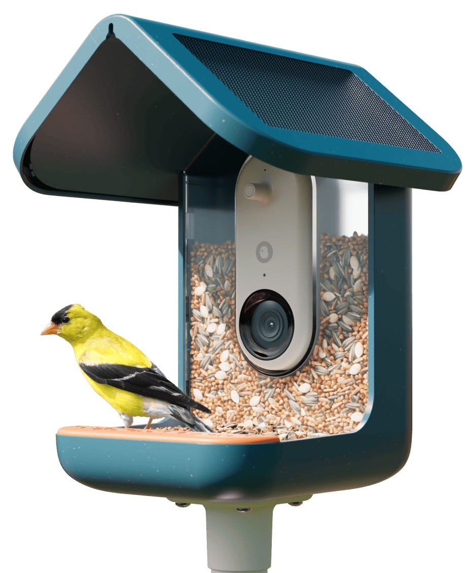 TL; DR - visual representation