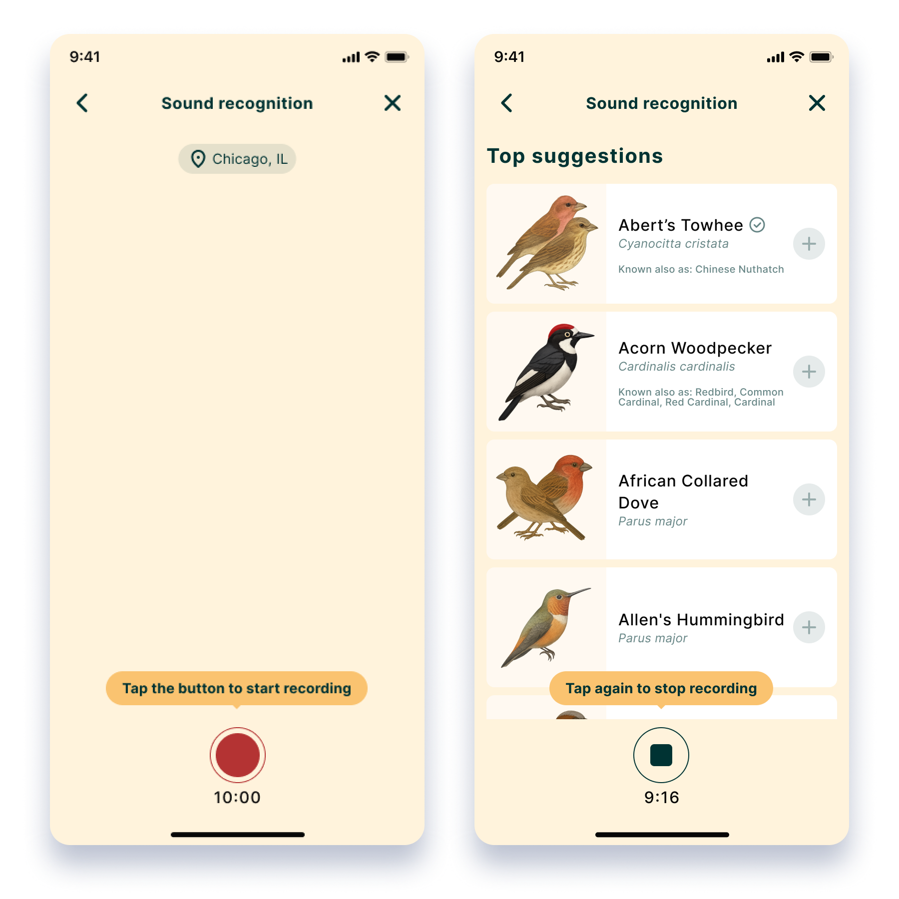 Exploring Birdbuddy Pro's Features - contextual illustration