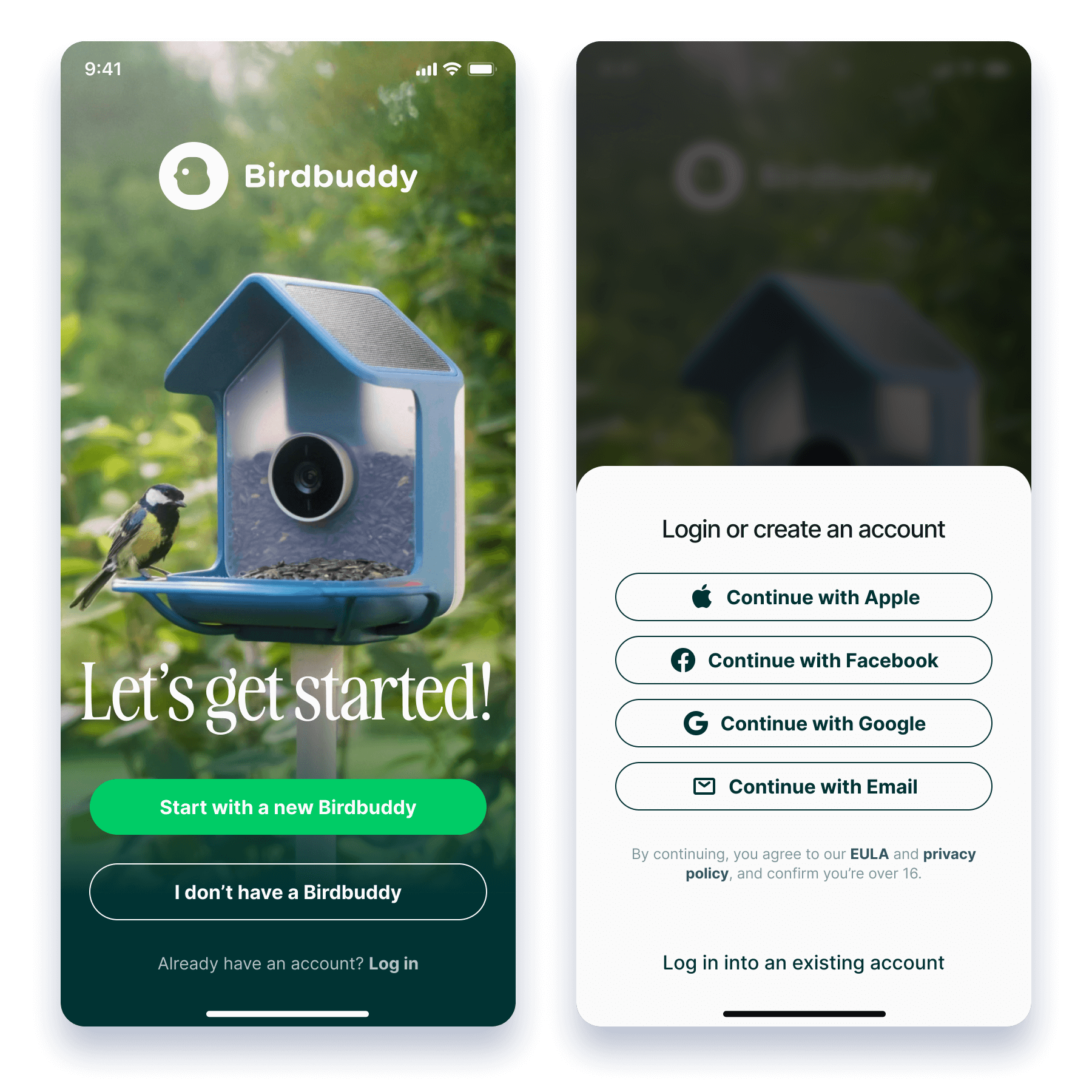 Setting Up Your Birdbuddy Pro - contextual illustration