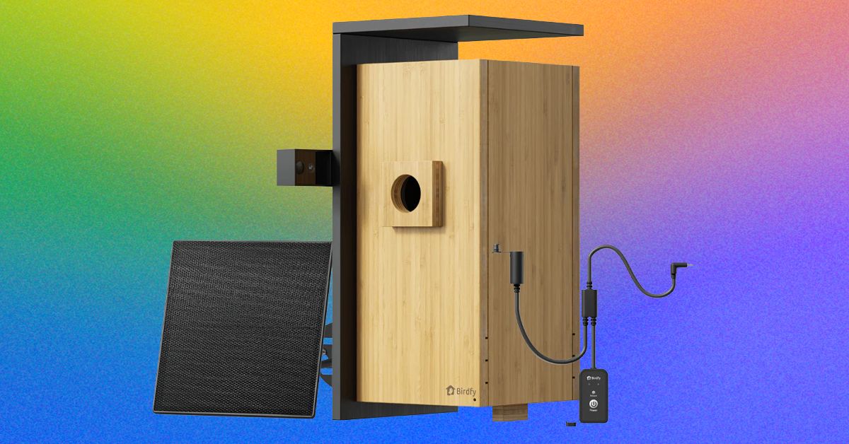 Birdfy Nest Duo Review: My Own Private Nature Documentary | WIRED