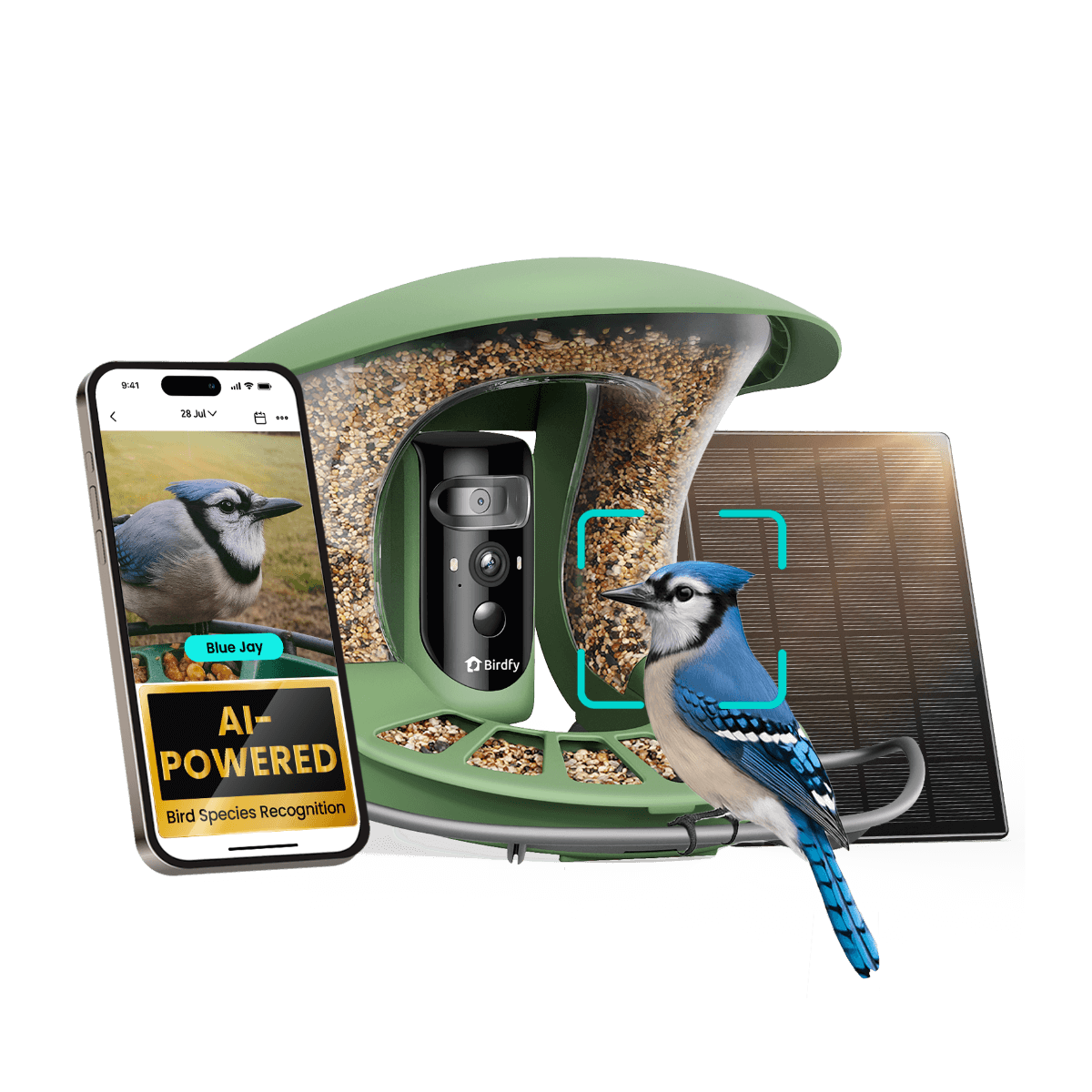 Key Features of the Birdfy Smart Bird Feeder - contextual illustration