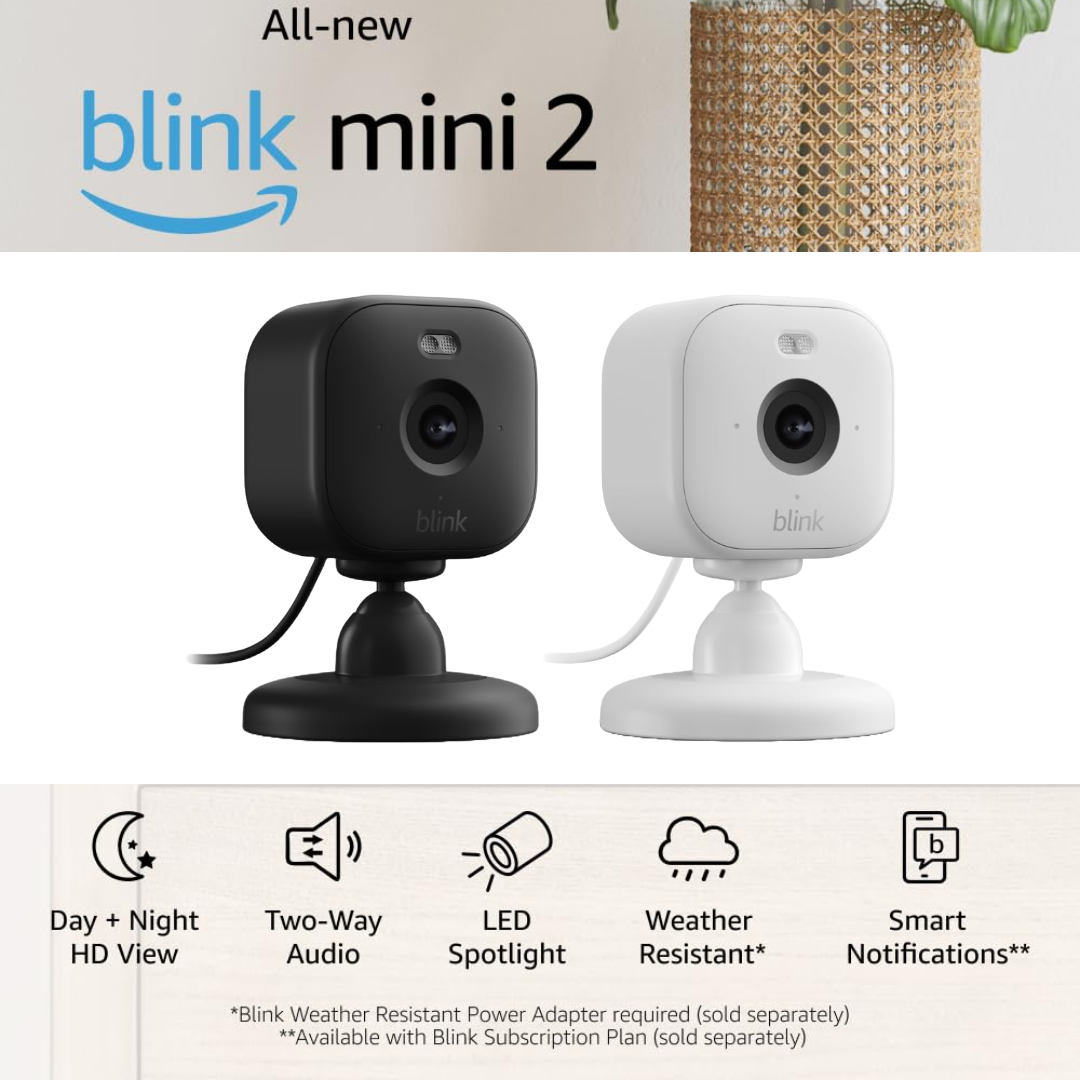 Quick Comparison: Blink Mini 2 vs. Other Budget Options - visual representation