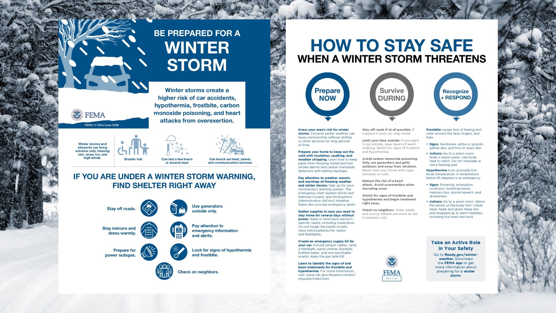 Hearthstone: Spotlight (February 9, 12:30PM ET) - visual representation