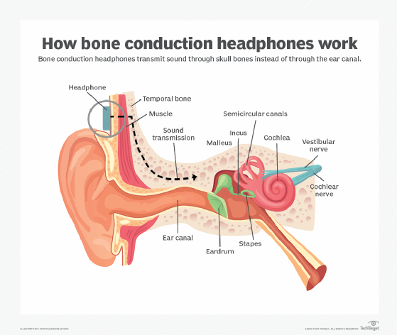 How Bone Conduction Technology Actually Works - contextual illustration