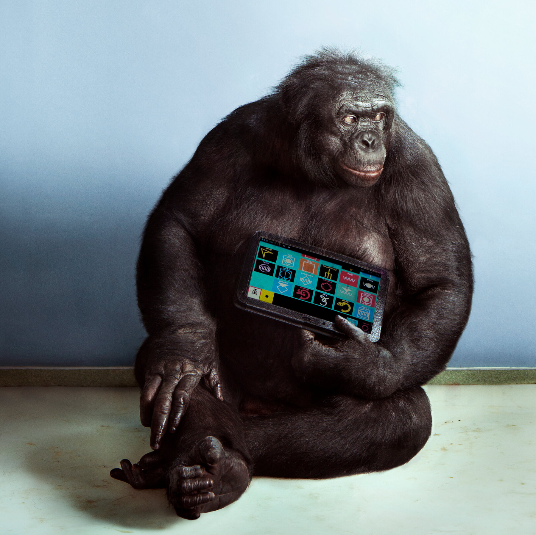 Imagination and Evolution: The Big Picture - visual representation