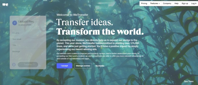 Future Possibilities: Where Boomerang Goes From Here - visual representation