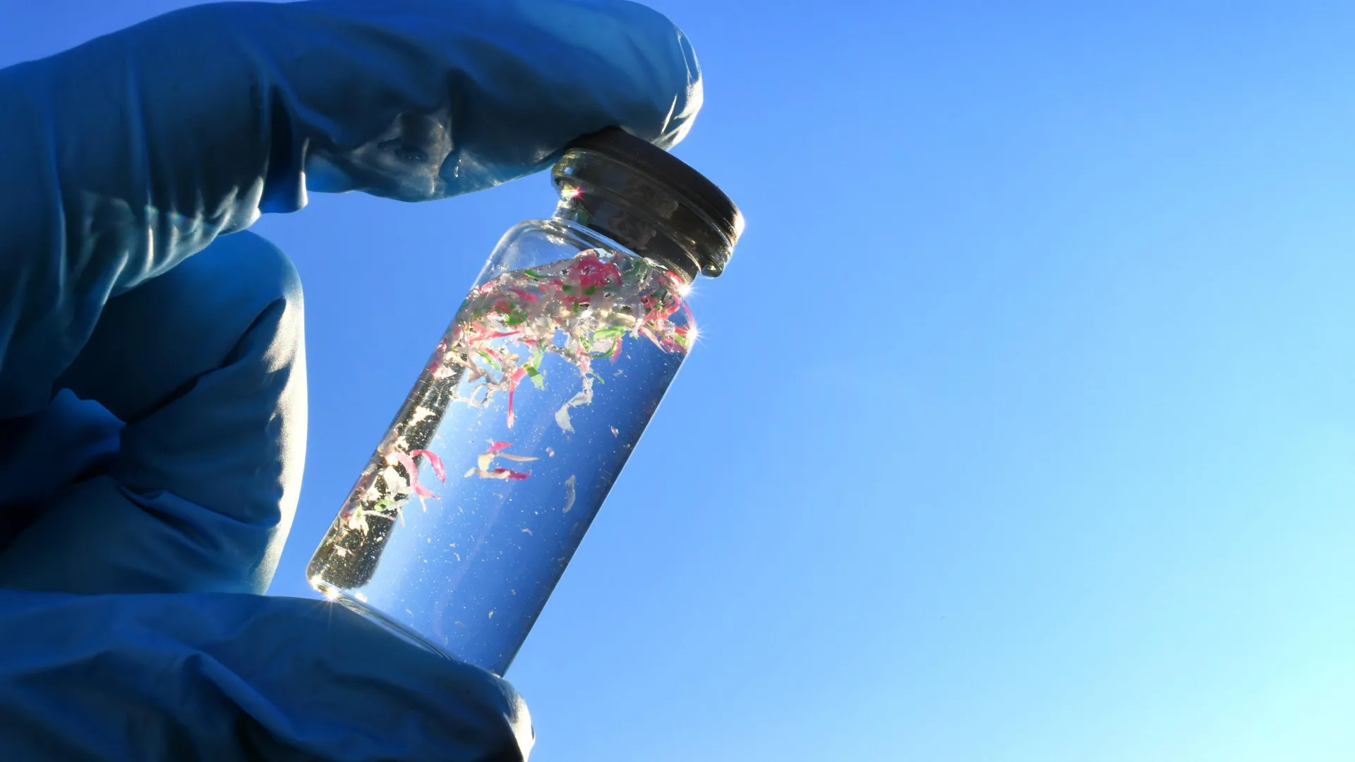 The Role of Plastic Bottle Quality and Storage Conditions - visual representation