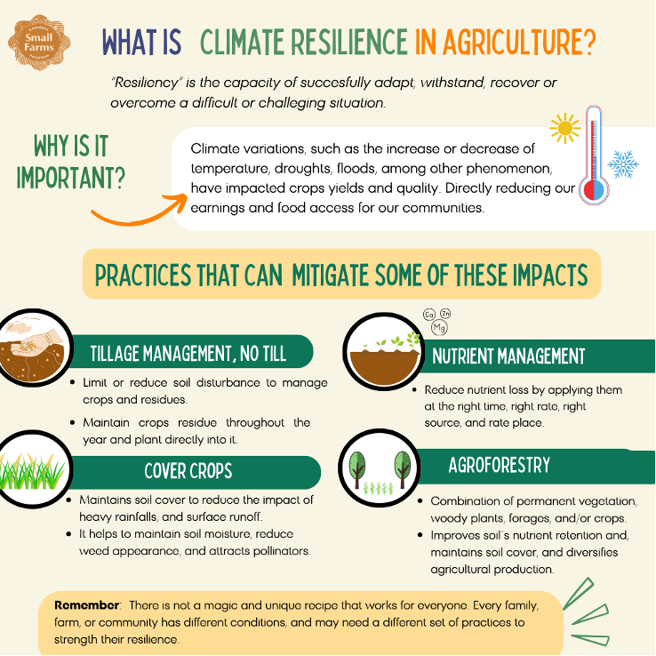 Conclusion - visual representation