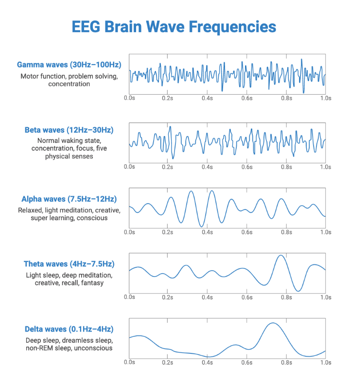 The Hardware Revolution: What Companies Actually Built - visual representation