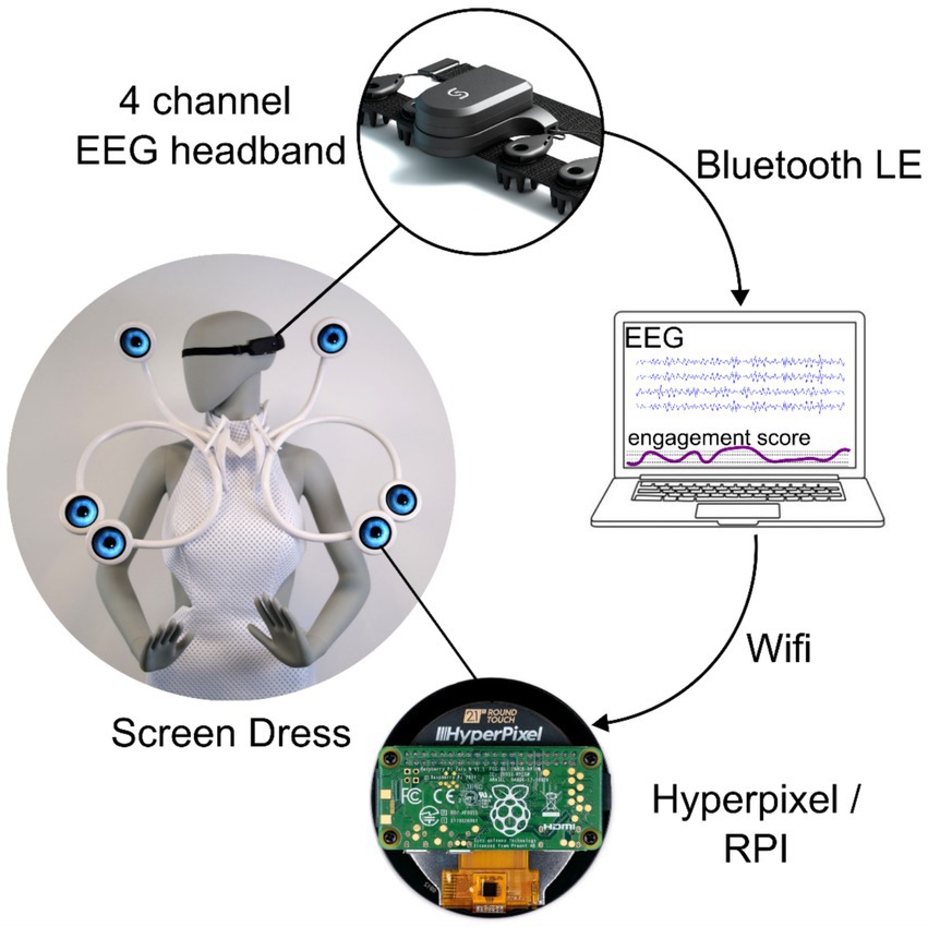 The Honest Reality: What These Devices Do and Don't Do - visual representation