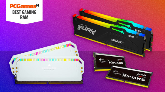 When BYO RAM Makes Sense vs. When It Doesn't - visual representation
