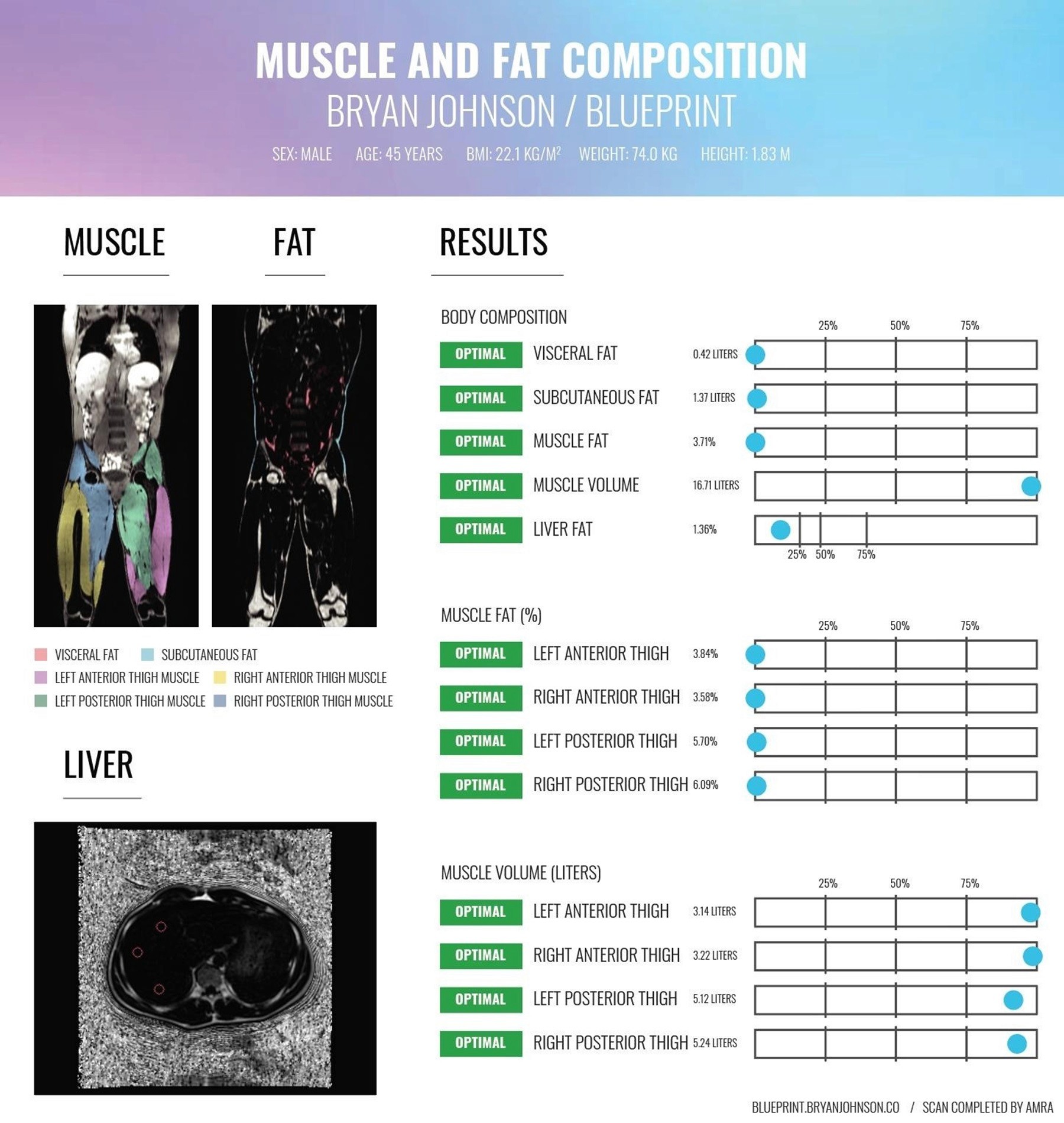 The AI Factor: What Is Bryan AI Actually? - visual representation