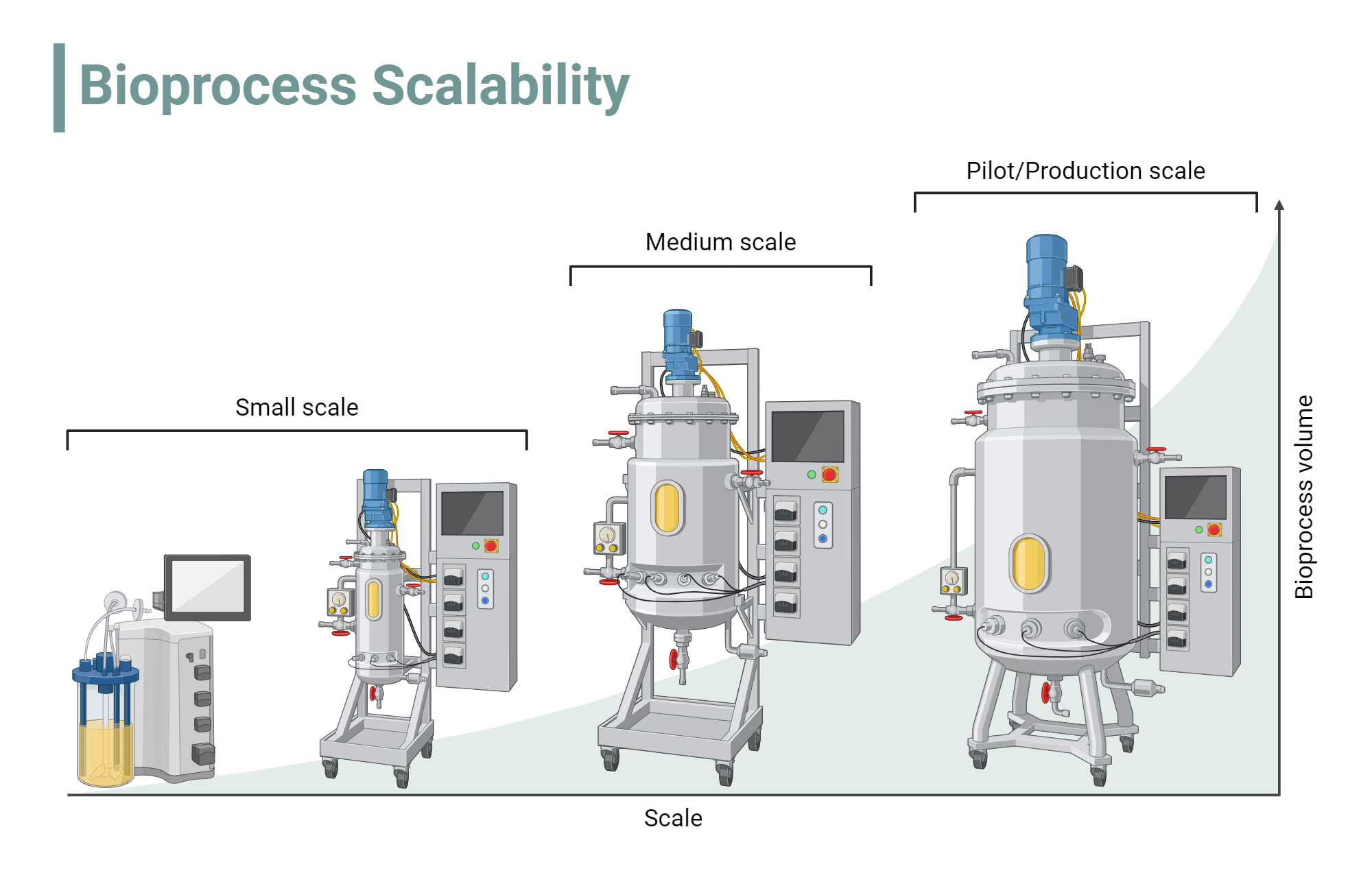 The Business Model: From Concept to Commerce - visual representation
