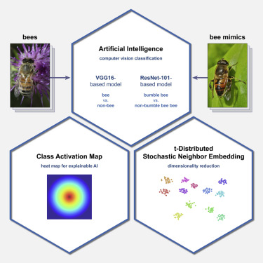 Technical Underpinnings: How Bee Works - contextual illustration