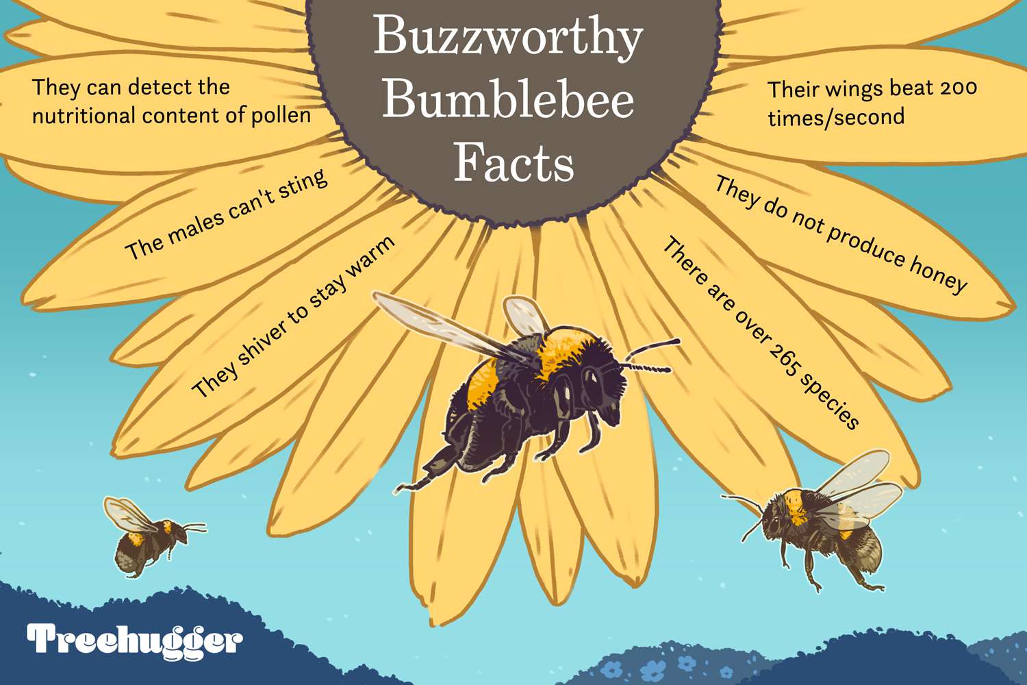 Real-World Application: How Users Benefit from Bee - contextual illustration