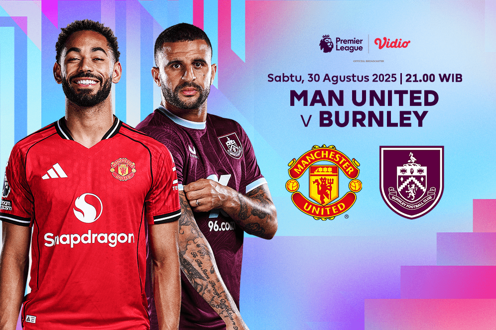 Legal Considerations and Content Piracy Concerns - visual representation