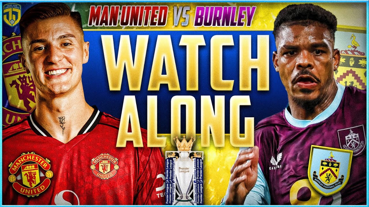 Legal Streaming Alternatives and Free Options - visual representation