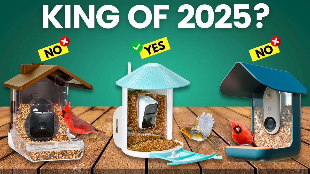 Future Outlook: Where the Technology Is Heading - visual representation