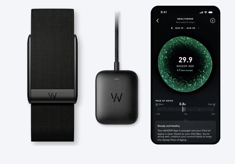 The Cost Question: Sleep Study vs. Wearable - visual representation