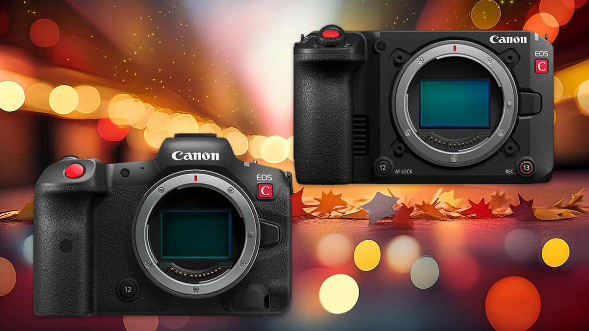 Conclusion: The C50 Still Wins for Serious Videographers - visual representation