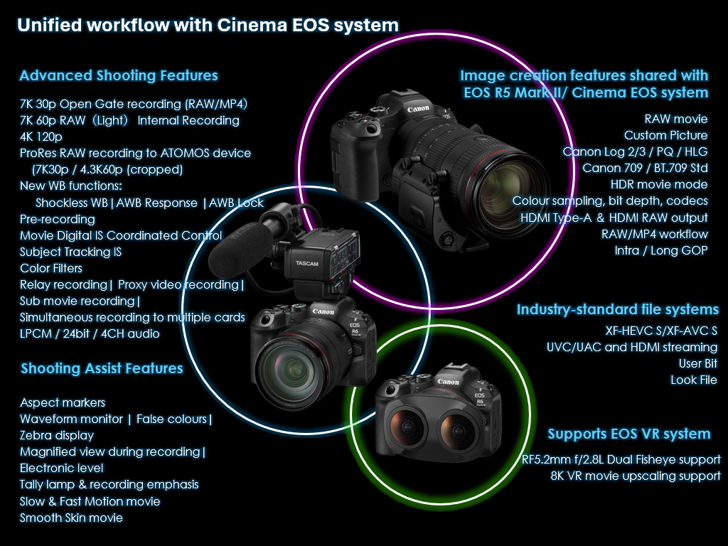 Key Features of the Canon EOS R6 V - visual representation