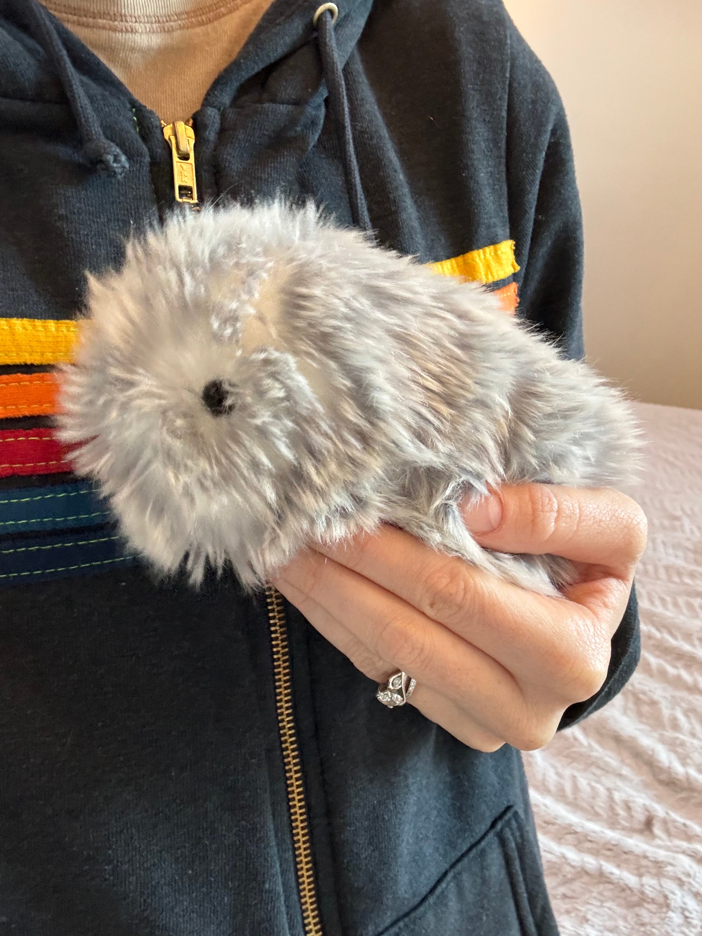 Should You Buy Moflin? An Honest Recommendation - visual representation