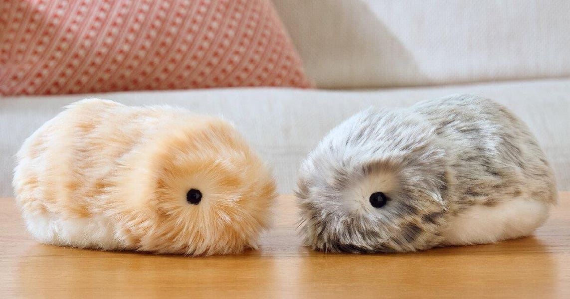 The Unboxing Experience: Realistic Expectations from Day One - contextual illustration