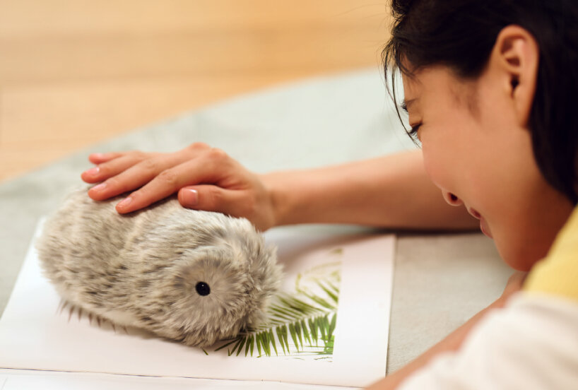 The Privacy and Data Collection Angle You're Not Thinking About - visual representation