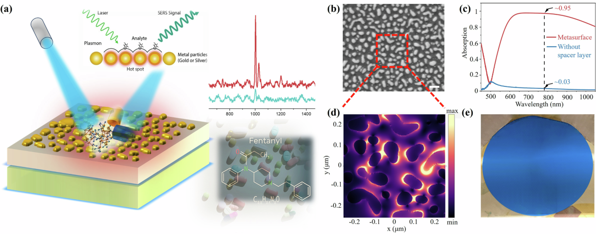 Privacy, Civil Liberties, and Technological Oversight - visual representation