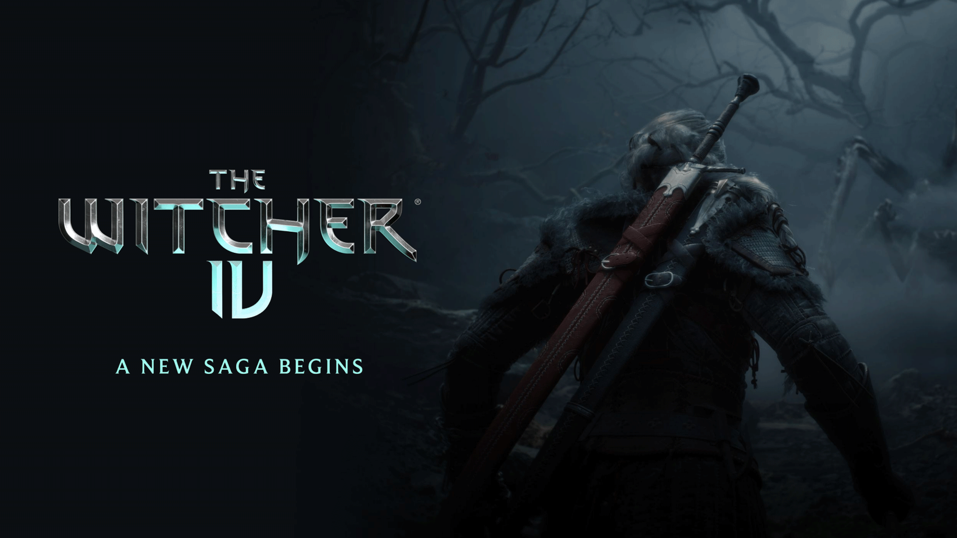 The Broader Implications for CD Projekt Red - visual representation