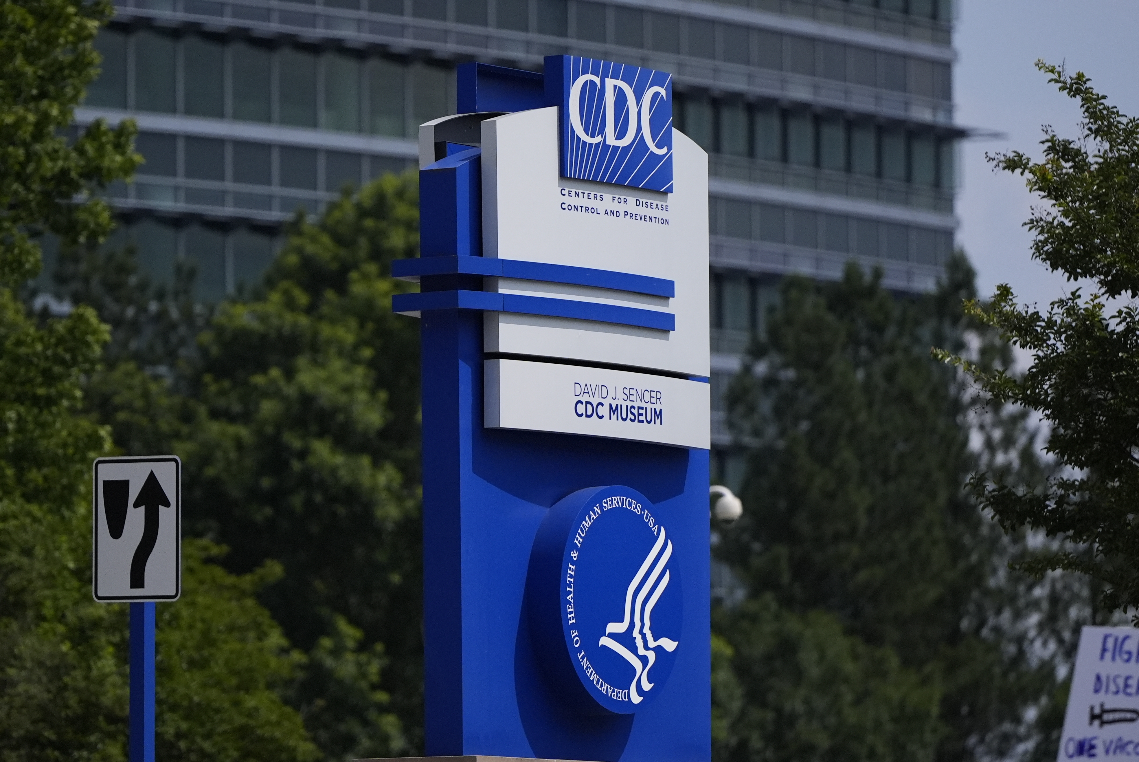 The Governance Problem: How Permanent Leadership Actually Protects Public Health - visual representation