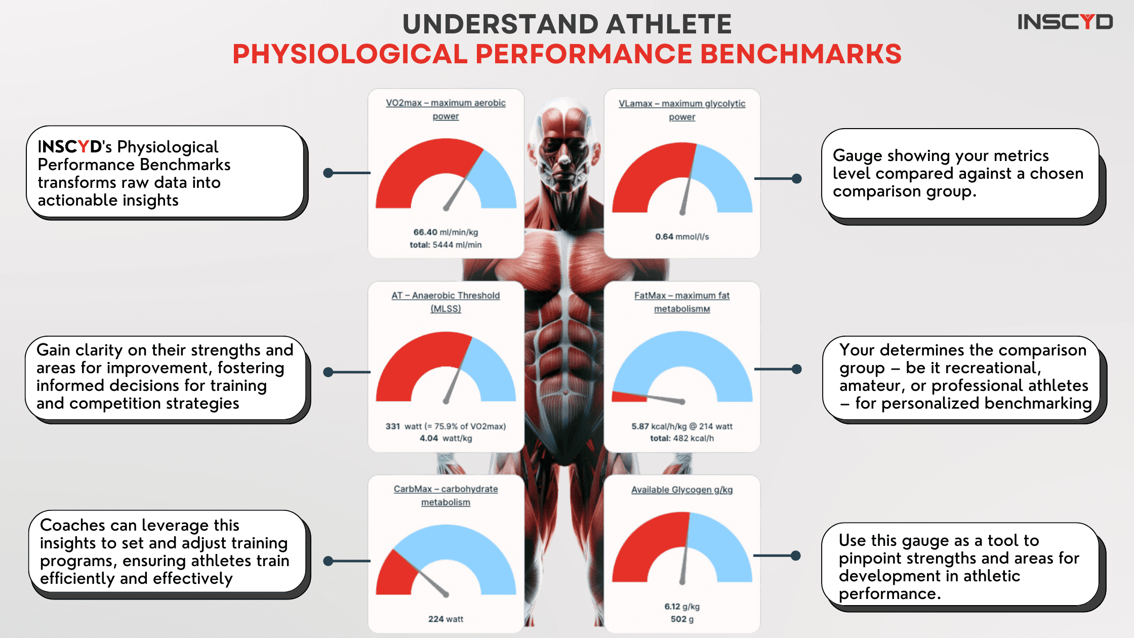 The Shift From Fitness Tracking to Metabolic Health Monitoring - visual representation