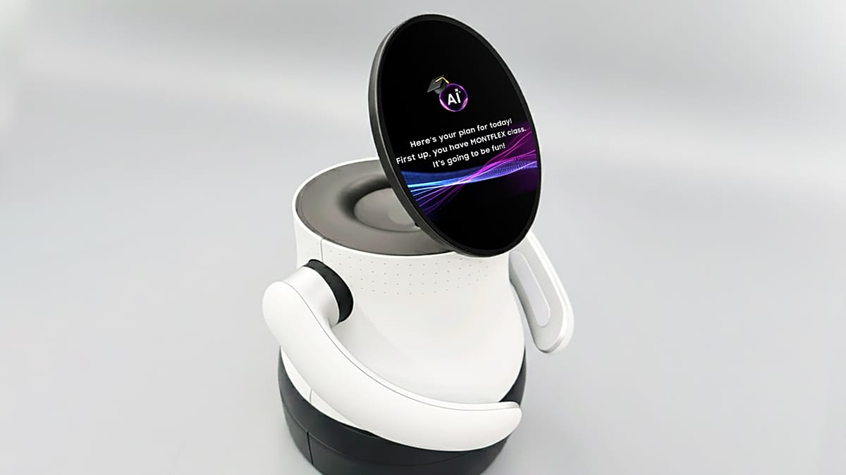 Google's Real-Time Offline Translation Device - visual representation