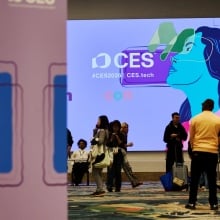 The Laptop Category Showed More Backbone Than Expected - visual representation