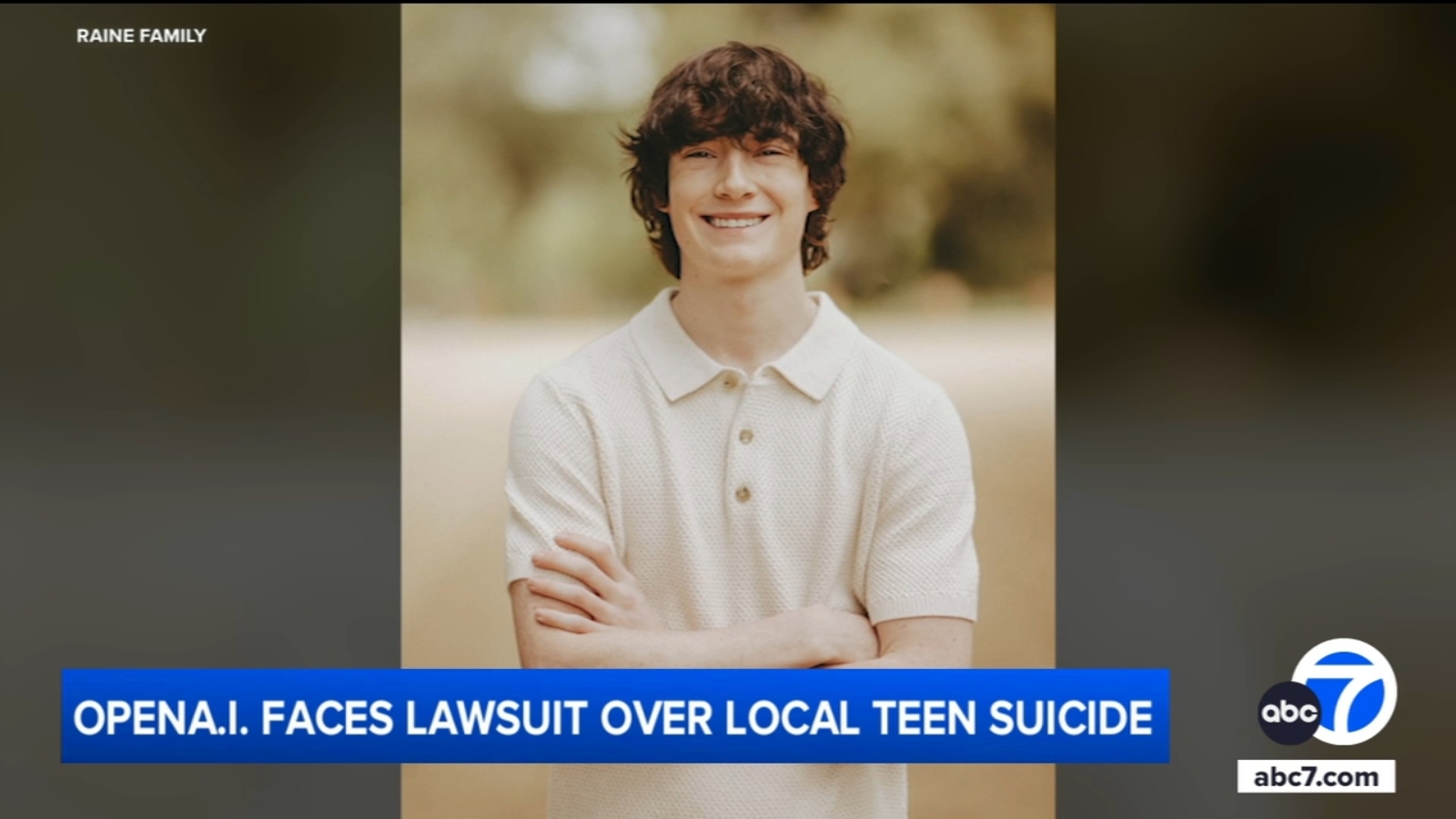 The Broader Question: Should AI Companies Be Liable for Emotional Harm? - visual representation