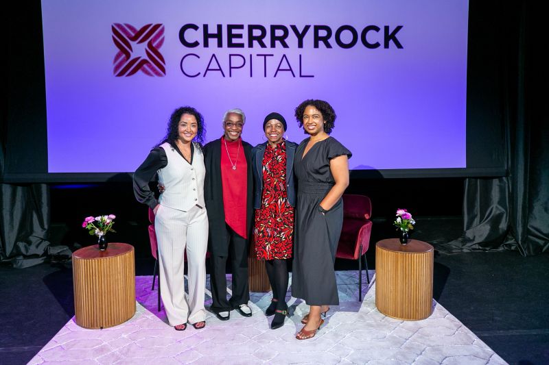 The Cherryrock Model: Concentrated Bets and Patient Money - contextual illustration