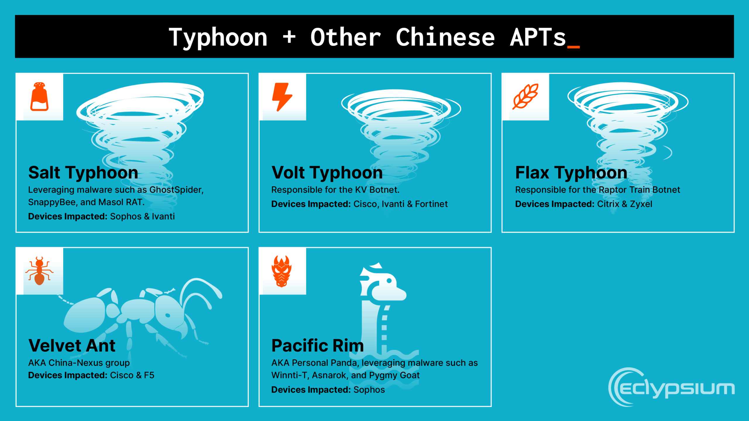 The Role of Typhoon-Designated Groups - contextual illustration