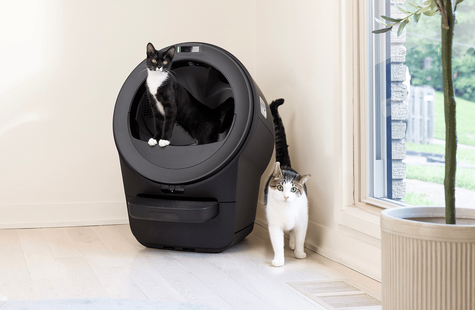 The Latest in Litter-Robot’s Lineup - contextual illustration