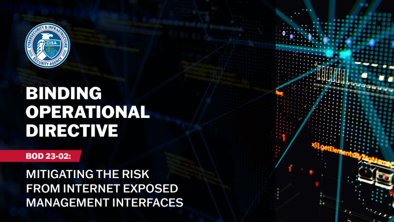 Real-World Example: A Medium-Sized Organization's Response - visual representation