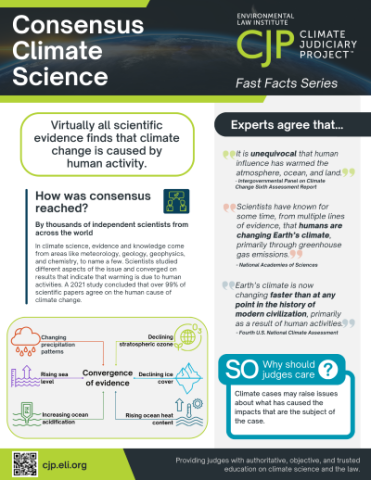 The Precedent This Sets: Institutional Vulnerability - visual representation